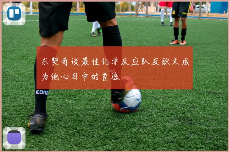 东契奇谈最佳化学反应队友欧文成为他心目中的首选