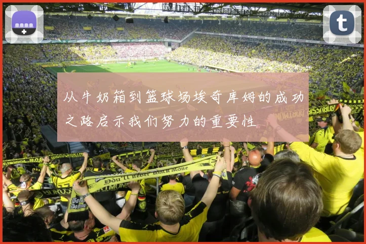 从牛奶箱到篮球场埃奇库姆的成功之路启示我们努力的重要性