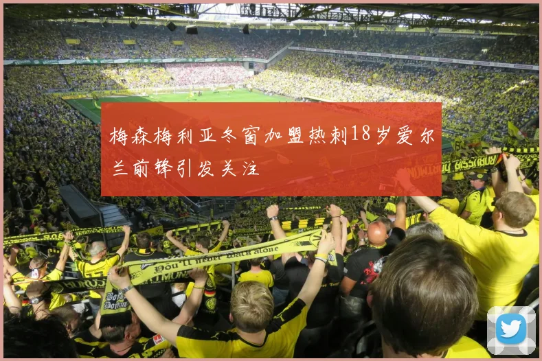 梅森梅利亚冬窗加盟热刺18岁爱尔兰前锋引发关注