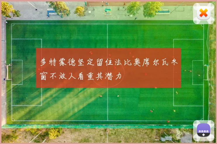 多特蒙德坚定留住法比奥席尔瓦冬窗不放人看重其潜力