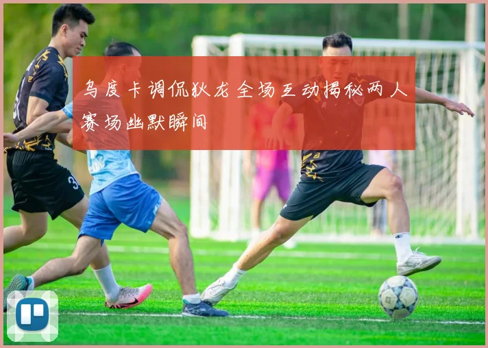 乌度卡调侃狄龙全场互动揭秘两人赛场幽默瞬间