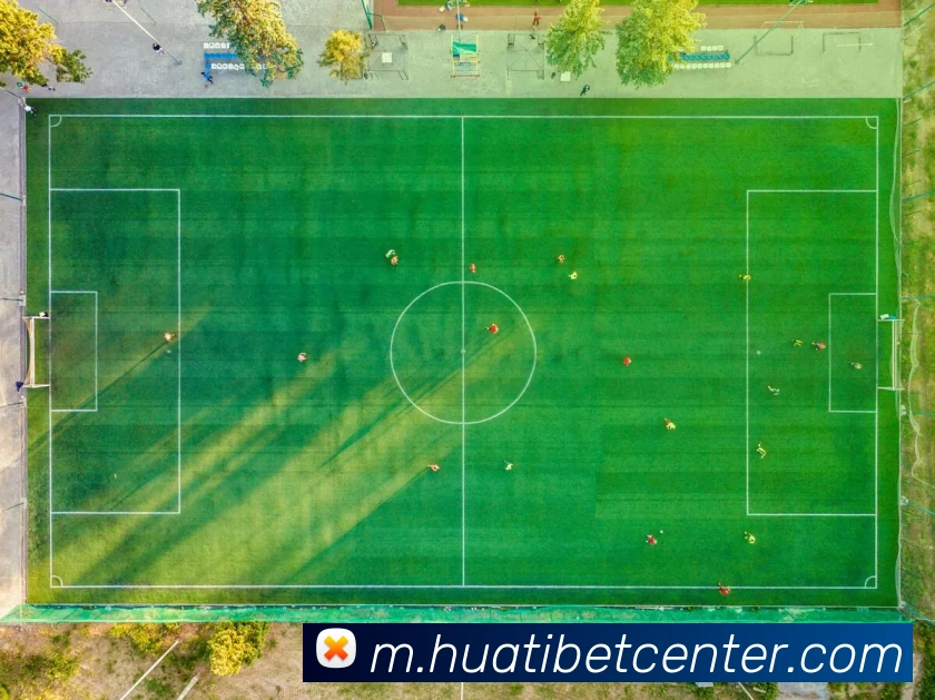 数据防护可视化